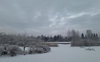 leijonapuistosta