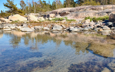 Kirkasvetinen matala ranta. Hiekkapohja ja taustalla kallioista maastoa, takana puita.